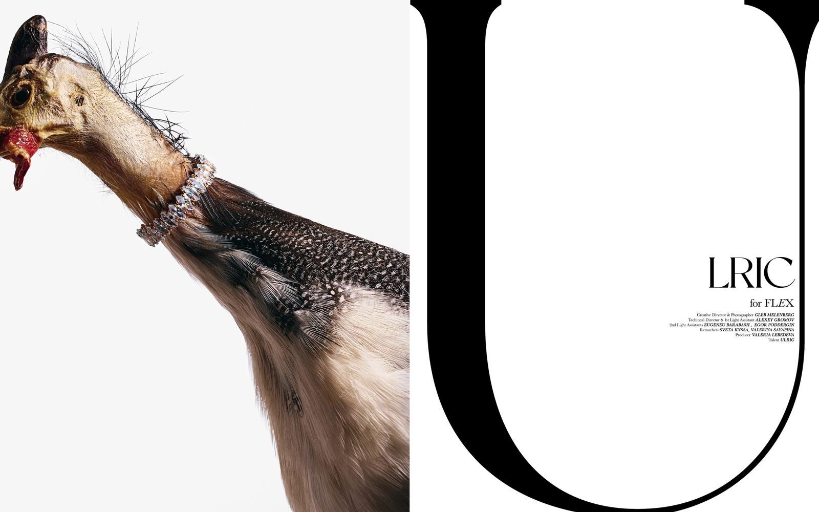 Flex image 9