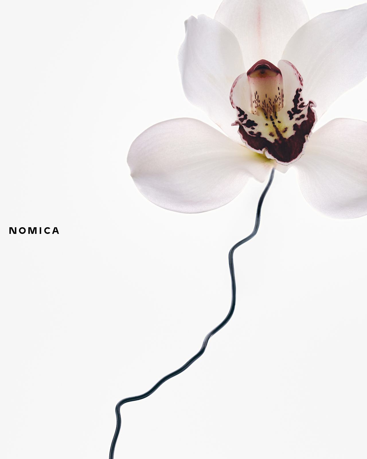 Nomika image 2