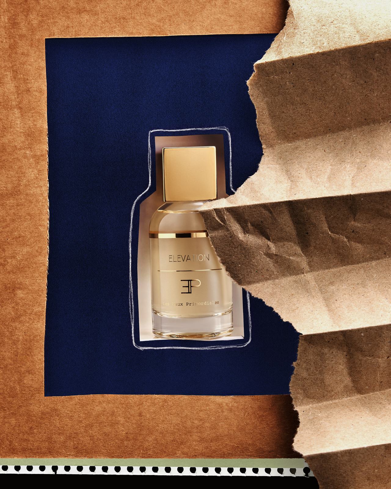 TUSH image 4